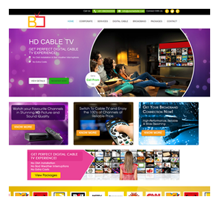 Sri Balaji cable vission